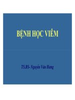 Bài giảng giải phẫu bệnh bệnh học viêm 1