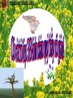 nhan hoa lop 3 cuc hay