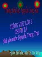 Bài giảng tiếng việt 5 tuần 19 bài nhà yêu nước nguyễn trung trực6 