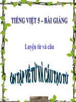 Bài giảng tiếng việt 5 tuần 17 bài luyện từ và câu   ôn tập về từ và cấu tạo từ4 