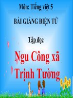 Bài giảng tiếng việt 5 tuần 17 bài tập đọc   ngu công xã trịnh tường 
