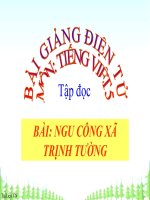 Bài giảng tiếng việt 5 tuần 17 bài tập đọc   ngu công xã trịnh tường3 
