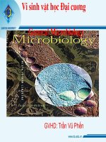 vi sinh vat nhan nguyen