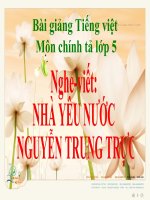 Bài giảng tiếng việt 5 tuần 19 bài nhà yêu nước nguyễn trung trực8 