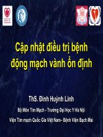 Cập nhật điều trị đau thắt ngực ổn định