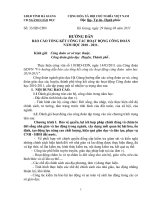 BAO CAO TONG KET NAM HOC 2011