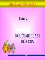 Bài giảng tiếng việt 5 tuần 17 bài chính tả   nghe,viết người mẹ của 51 đứa con7 
