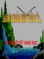 Khoa hoc:Bao ve nguon nuoc (BCẩm)