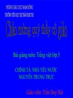 Bài giảng tiếng việt 5 tuần 19 bài nhà yêu nước nguyễn trung trực4 