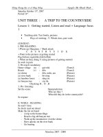 giáo án tiếng anh lớp 9