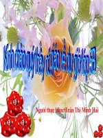 Cơ quan sinh sản của thực vật có hoa