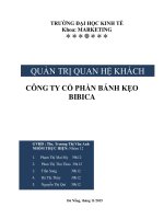 Phân tích quản trị trị quan hệ khách hàng (CRM) của công ty cổ phần BIBICA)