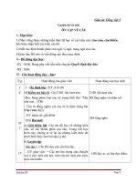 Giáo án tiếng việt 5 tuần 17 bài luyện từ và câu ôn tập về câu4 