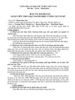 Mau thanh tich ca nhan dat CSTĐCS