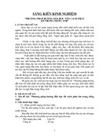 sáng kiến kinh nghiệm tiếng anh