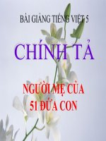 Bài giảng tiếng việt 5 tuần 17 bài chính tả   nghe,viết người mẹ của 51 đứa con6 