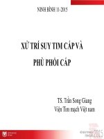 Xử trí suy tim cấp và phù phổi cấp