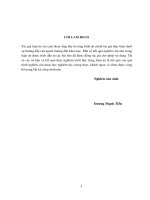 Nghiên cứu điều chế SiO2 kích thước nanomet từ chất thải H2SiF6 phát sinh trong quá trình chế biến quặng apatit Việt Nam