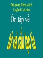 Bài giảng tiếng việt 5 tuần 17 bài luyện từ và câu   ôn tập về từ và cấu tạo từ5 