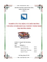 Tác động của văn hóa xã hội khi disney thâm nhập thị trường pháp