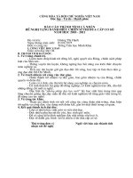 Mẫu báo cáo thành tích cá nhân