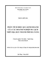 Phân tích hiệu quả kinh doanh của các doanh nghiệp du lịch trên địa bàn thành phố đà nẵng 