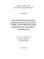 phân tích hiệu quả hoạt động kinh doanh tại ngân hàng nông nghiệp và phát triển nông thôn chi nhánh huyện giồng riềng   tỉnh kiên giang