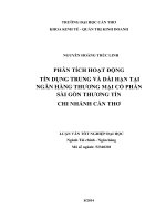 phân tích hoạt động tín dụng trung và dài hạn tại ngân hàng thương mại cổ phần sài gòn thương tín chi nhánh cần thơ