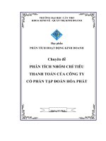 Chuyên đề phân tích nhóm chỉ tiêu thanh toán của công ty cổ phần tập đoàn hòa phát