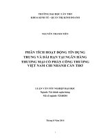 phân tích hoạt động tín dụng trung và dài hạn tại ngân hàng thương mại cổ phần công thương việt nam chi nhánh cần thơ