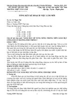 TỔNG KẾT KẾ HOẠCH VIỆC LÀM MỚI