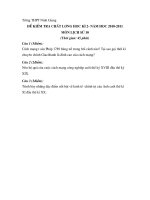 de thi hoc ki 2 mon su 10