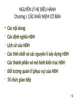 NGUYÊN lý hệ điều HÀNH , chương 1  các KHÁI NIỆM cơ bản 