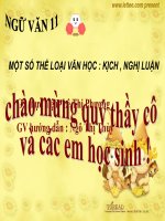 một số thể loại kịch, nghị luận