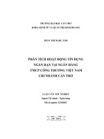 phân tích hoạt động tín dụng ngắn hạn tại ngân hàng tmcp công thương việt nam chi nhánh cần thơ