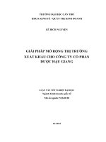 giải pháp mở rộng thị trường xuất khẩu cho công ty cổ phần dược hậu giang