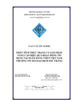 phân tích thực trạng và giải pháp nâng cao hiệu quả hoạt động tín dụng tại ngân hàng tmcp việt nam thương tín sở giao dịch sóc trăng