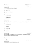 QUIZ 3 Fresher Unit test