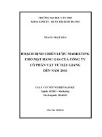 hoạch định chiến lược marketing cho mặt hàng gas của công ty cổ phần vật tư hậu giang đến năm 2016