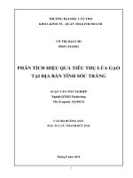 phân tích hiệu quả tiêu thụ lúa gạo tại địa bàn tỉnh sóc trăng