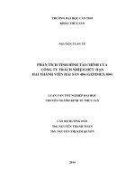 phân tích tình hình tài chính của công ty trách nhiệm hữu hạn hai thành viên hải sản 404 (gepimex 404)