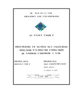 phân tích hoạt động tín dụng tại ngân hàng nông nghiệp và phát triển nông thôn quận ninh kiều thành phố cần thơ