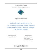 phân tích rủi ro tín dụng và các giải pháp hạn chế rủi ro tín dụng tại ngân hàng sài gòn công thương chi nhánh cần thơ