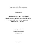 phân tích hiệu quả hoạt động kinh doanh tại ngân hàngt hương mại cổ phần sài gòn công thương chi nhánh cần thơ