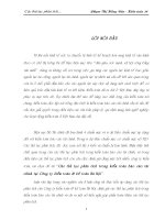 Các thủ tục phân tích trong kiểm toán báo cáo tài chính tại Công ty kiểm toán  kế toán Hà Nội