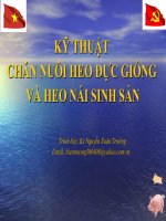 Tài liệu tập huấn kỹ thuật chăn nuôi heo đực giống và heo nái sinh sản