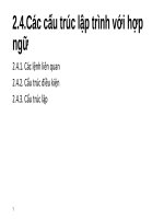 2 4  các cấu TRÚC lập TRÌNH với hợp NGỮ 