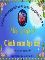 Bài giảng tiếng việt 5 tuần 20 bài cánh cam lạc mẹ8 