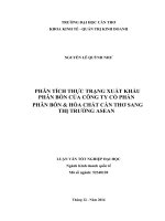 phân tích thực trạng xuất khẩu phân bón của công ty cổ phần phân bón  hóa chất cần thơ sang thị trường asean