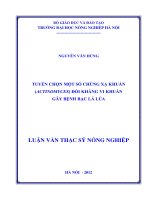 Tuyển chọn một số chủng xạ khuẩn (actinomyces) đối kháng vi khuẩn gây bệnh bạc lá lúa 